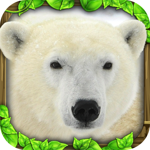 Polar Bear Simulator