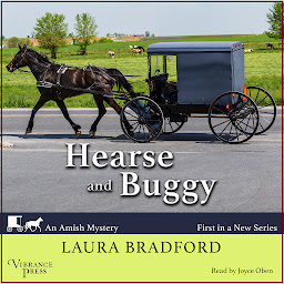 Icon image Hearse and Buggy: An Amish Mystery, Book One