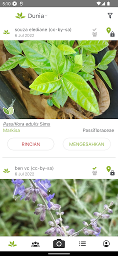 PlantNet Plant Identification screenshot 4