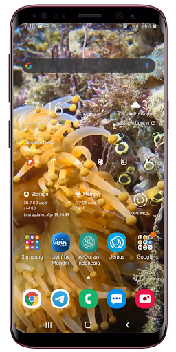 Underwater Live Wallpaper