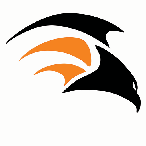 CSG VeriVault logo