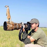 Photographers and Wildlife