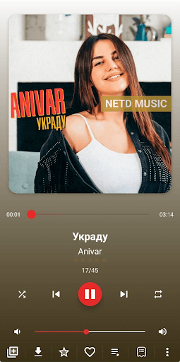 NETD MUSIC Player Screen 3