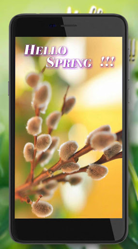 Spring Greetings