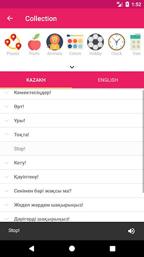 Kazakh English Dictionary Screen 3