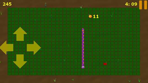 Retro Snake Screen 2
