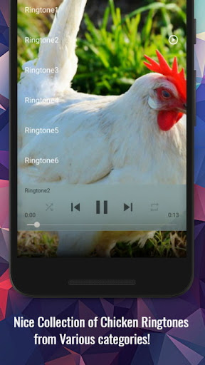 Chicken Sounds Screen 2