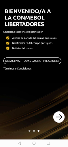 CONMEBOL Libertadores Screen 3