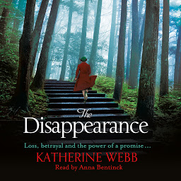 Icon image The Disappearance