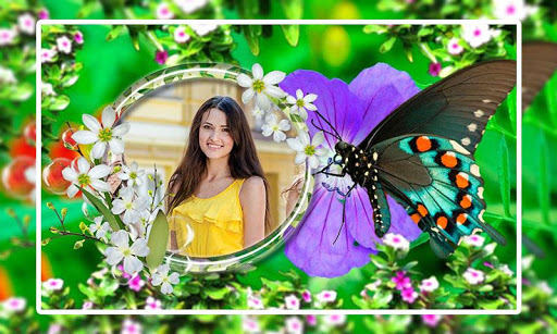 Butterfly Photo Frames HD Screen 3
