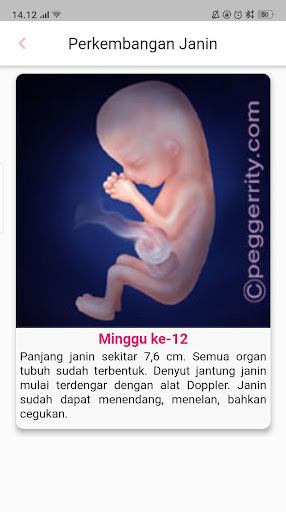 Kalkulator Kehamilan Plus Screenshot 2 - AppWisp.com