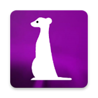 Meerkat browser - DPI bypass w