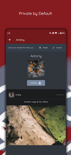 Antsome Screen 3