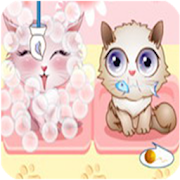 My Pet Shop - caring games for girls