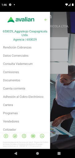 Avalian Agencias Screen 3