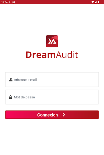 DreamAudit Mobile Screen 3