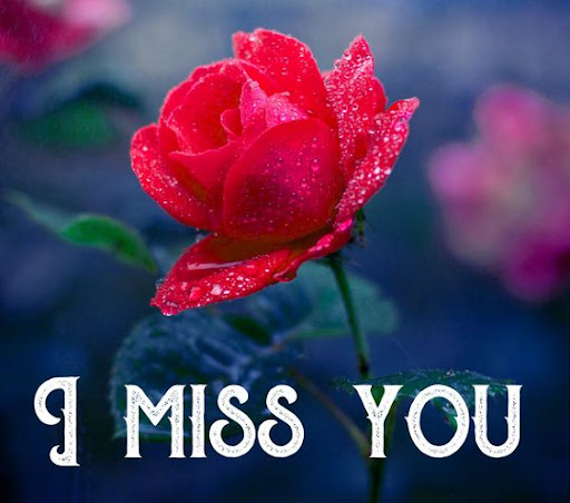I love you Images Screen 3