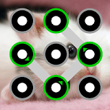 Cat Screen Pattern Lock icon