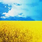 Ukraine Live wallpaper icon