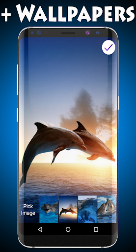 Dolphins Wallpapers & Lock Screen 3