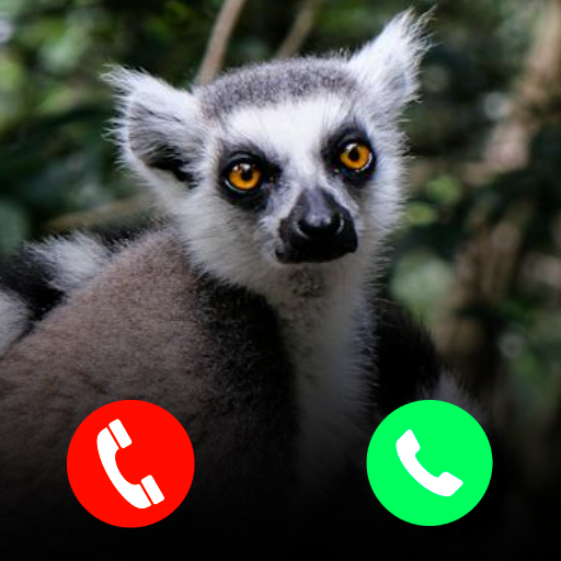 Lemur Fake Video Call