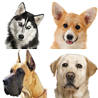 Dogs - photo quiz for dog lovers 1.0.4