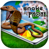 Snake on Phone Prank icon