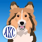 AKC Math Agility 1.1 Icon