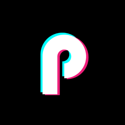 Puntu VPN logo