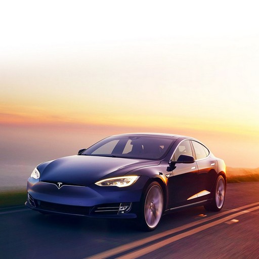 Tesla ModelS logo