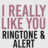 I Really Like You Ringtone icon