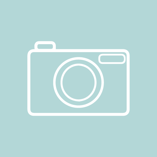 Safesnap logo