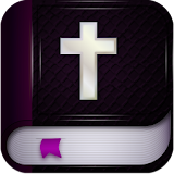 Offline NIV Bible icon