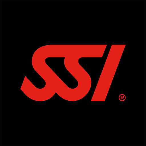 SSI 4.1.106 Icon