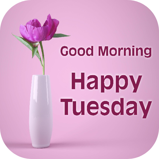 Tuesday morning, Good Morning Happy Tuesday: Wishes, images and quotes for  WhatsApp