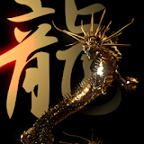 Gold Dragon Black icon