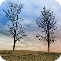 Twin Trees - Live Wallpaper