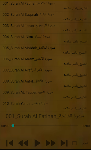 القران بصوت الشيخ ياسر سلامه Screen 2