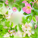 Gentle Flowers Live Wallpaper - Androidアプリ