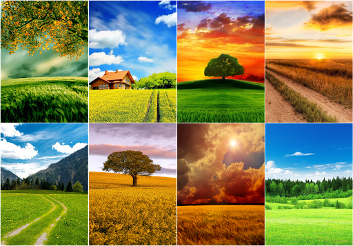 Android application Field Wallpaper screenshort