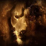 Lion King LWP icon