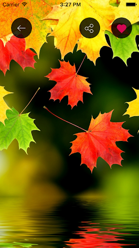 HD Wallpapers Screen 2