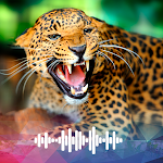Cover Image of Download Leopard sounds Ringtones  APK