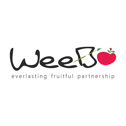 Weebo Networks Pvt. Ltd. logo