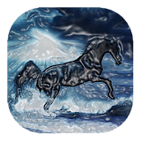 Black horse live wallpaper icon
