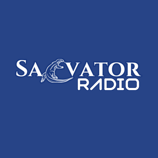 SALVATOR RADIO 2.0 Icon