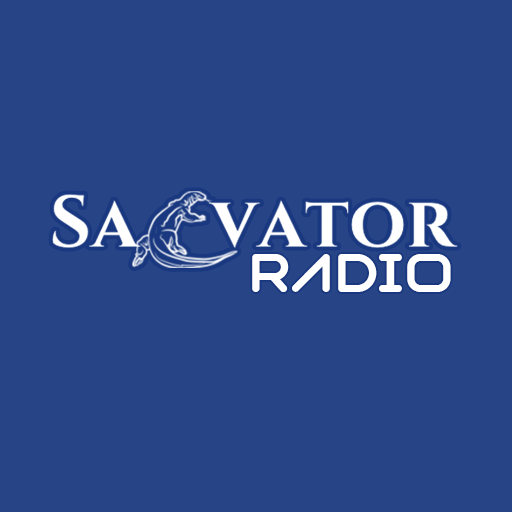 SALVATOR RADIO Download on Windows