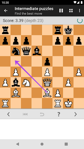 Chess Tactics Pro (Puzzles) 4.11 screenshots 3