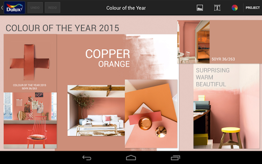 Dulux Colour Concept Screen 3