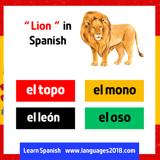 Learn Spanish - español